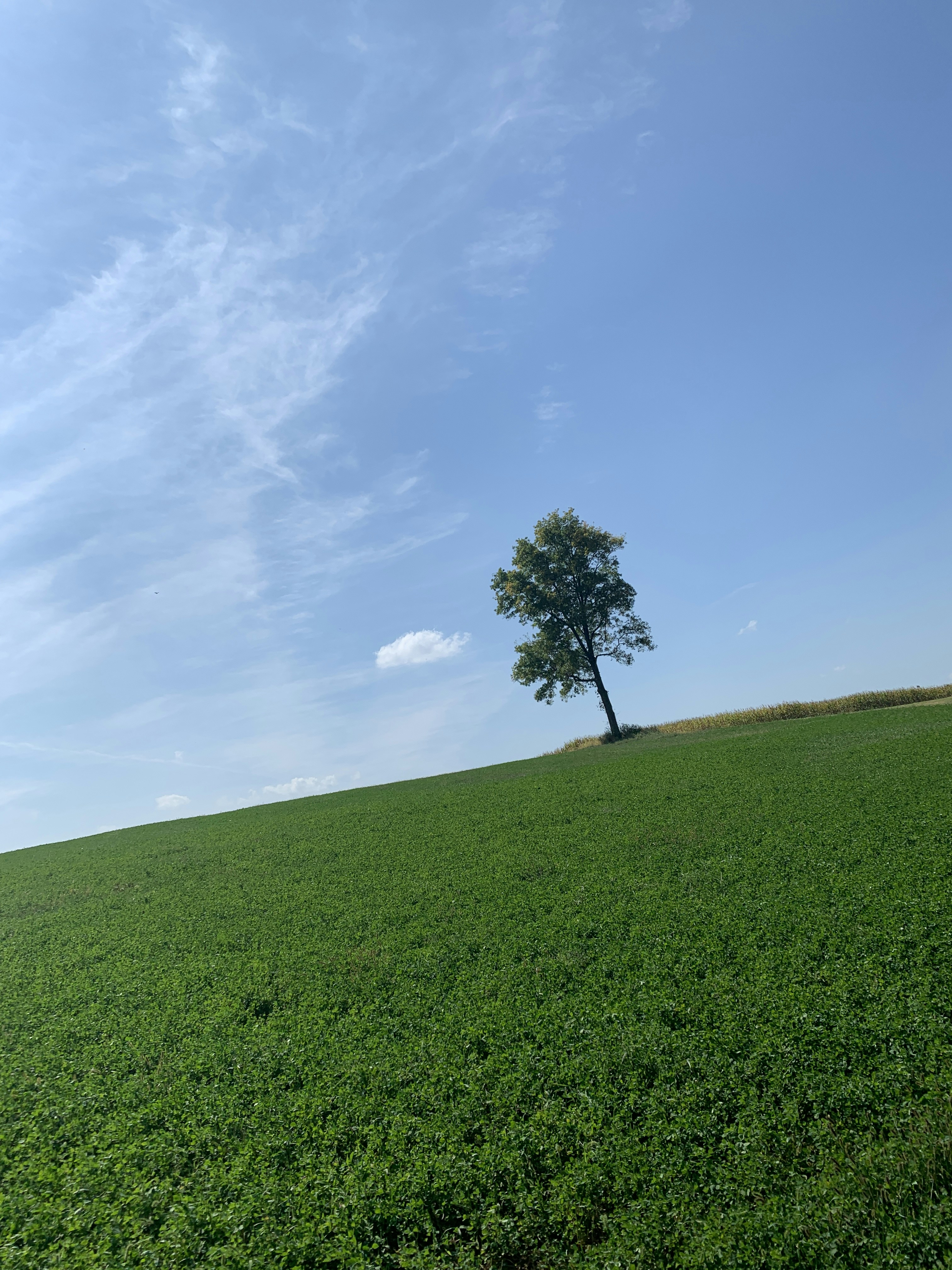 Photo by jnmacdonald