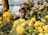 A cheerful man in casual clothes, surrounded by vibrant yellow flowers.