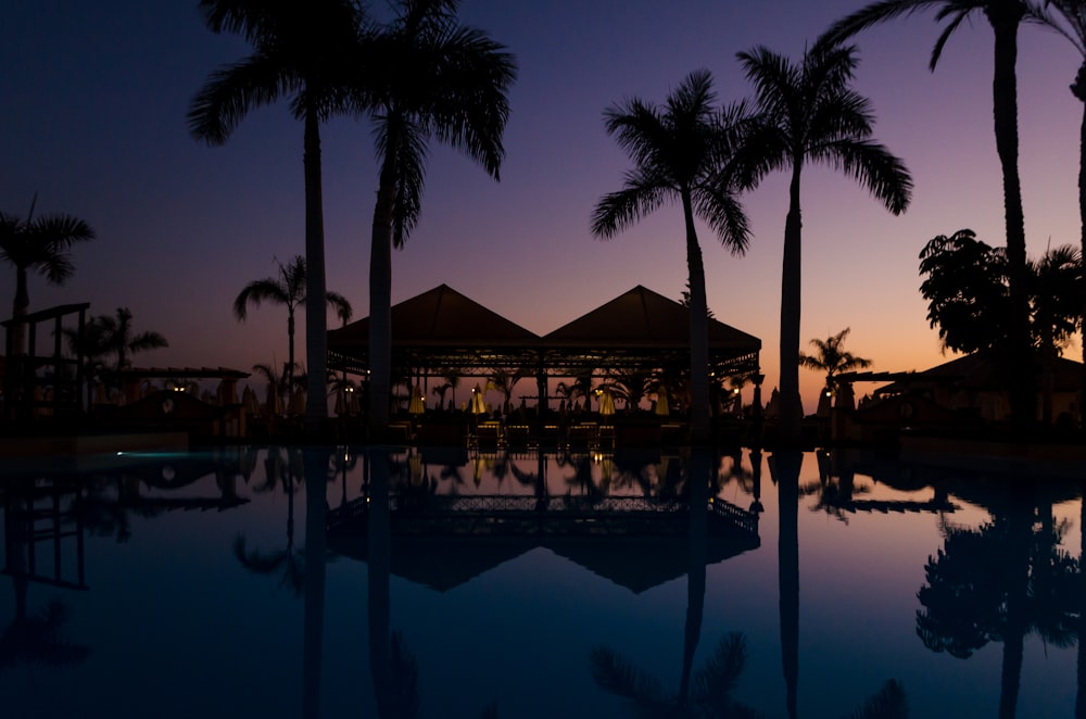 silhouette of people near body of water during night time