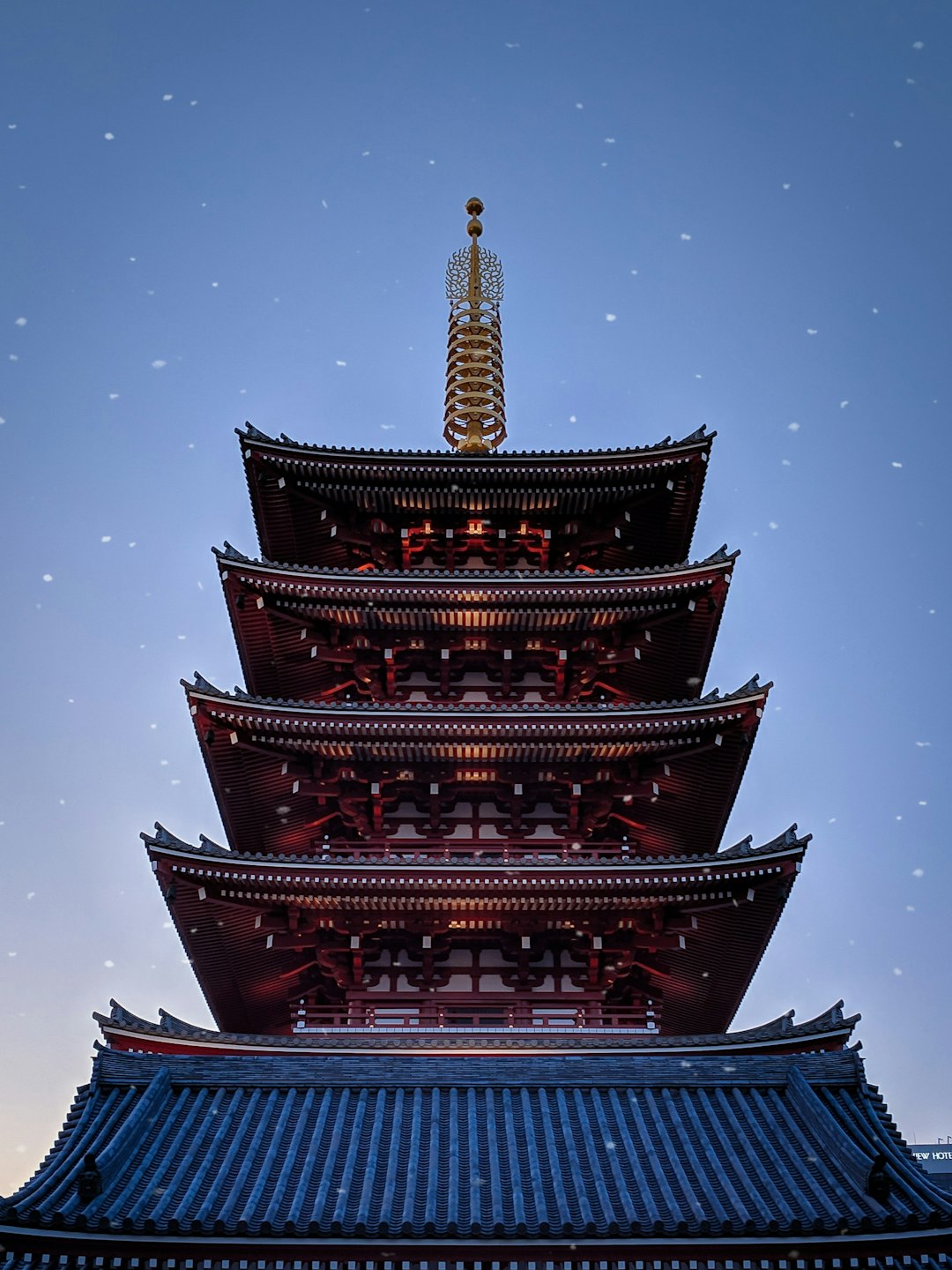 brown and blue pagoda during nighttime photo