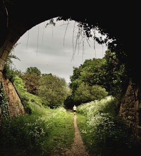 A peaceful outdoor scene with a person walking along a path lined with blooming flowers, representing renewal.