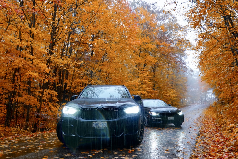 black vehicles on road between orange-leaf trees