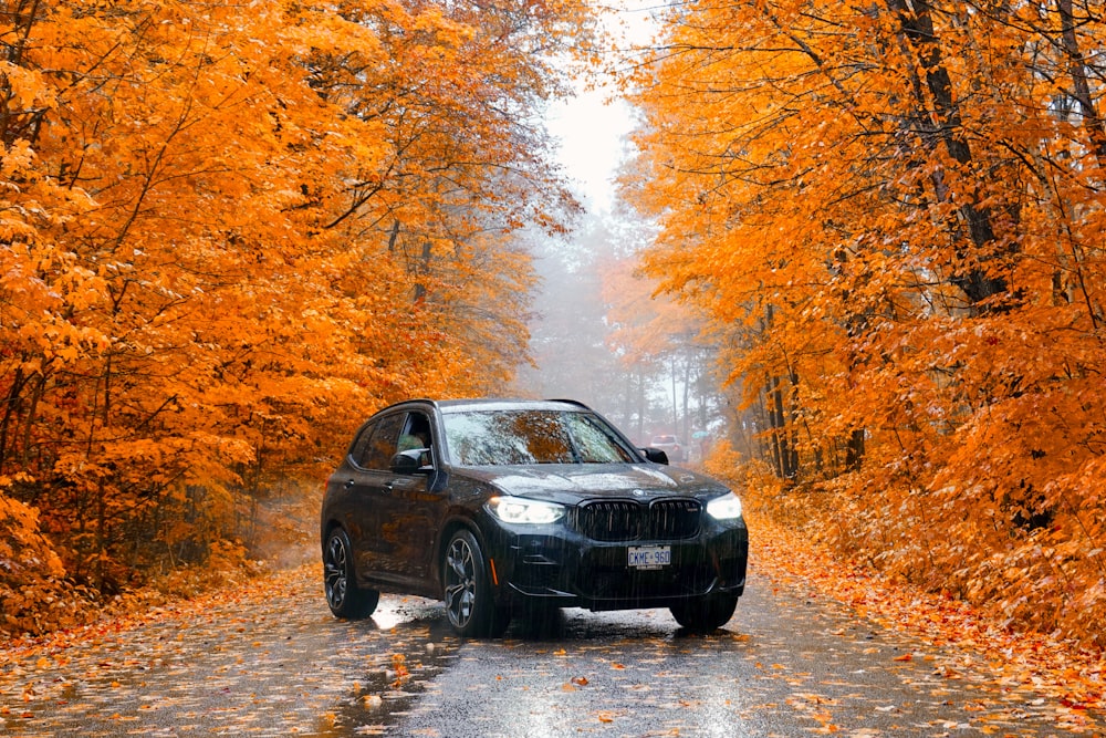 black 5-door hatchback on road between orange-leaf trees