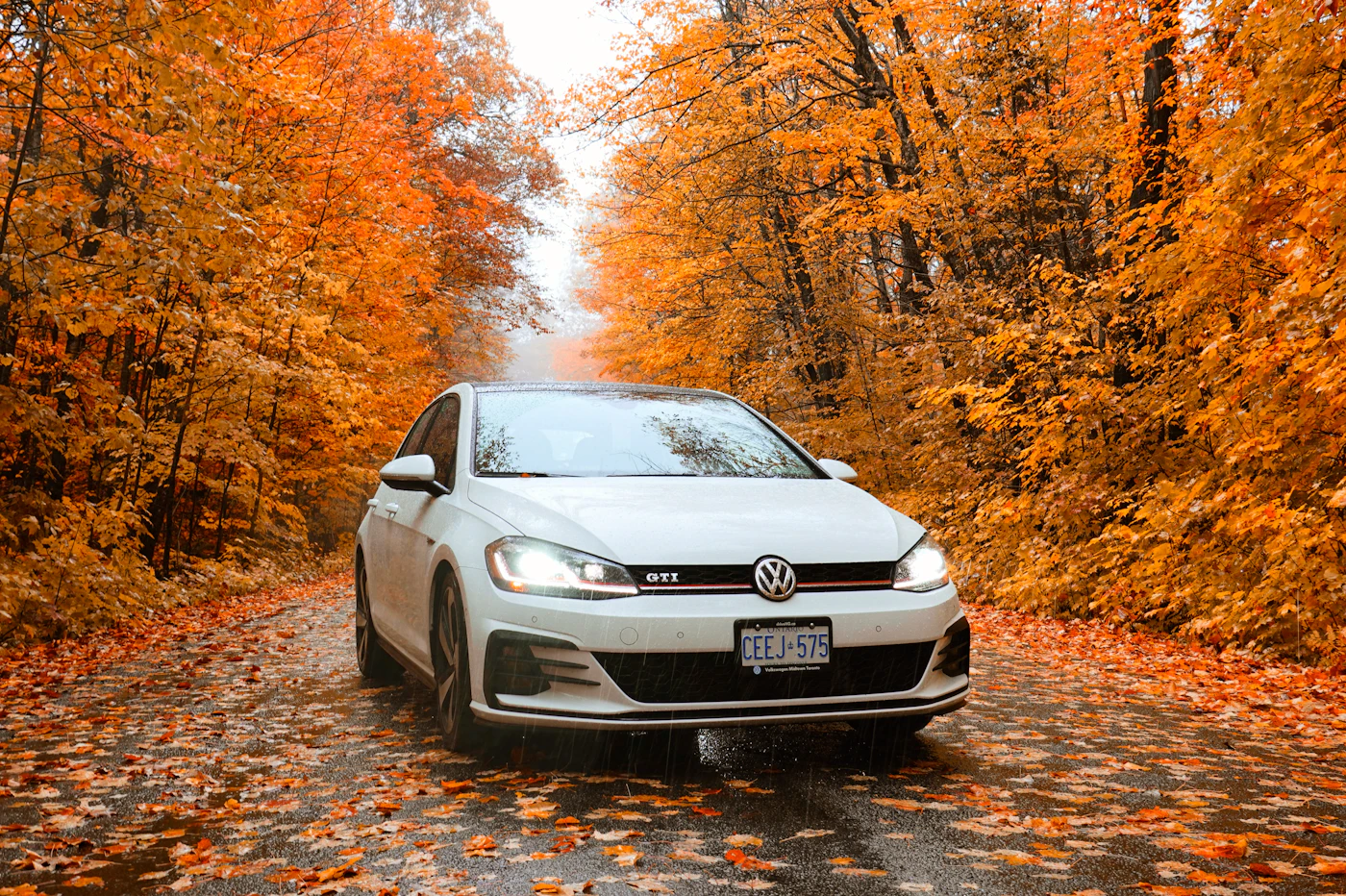 Volkswagen Golf blanche en automne