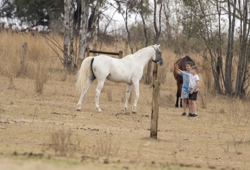 A group of foster children interacting joyfully with horses.