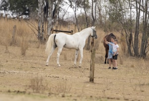 Two children stand together in a grassy field, interacting with two horses. The landscape is semi-dry with sparse trees and wooden fences in the background. One horse is white, and the other is brown. The children are wearing casual summer clothes and appear to be reaching towards the horses.