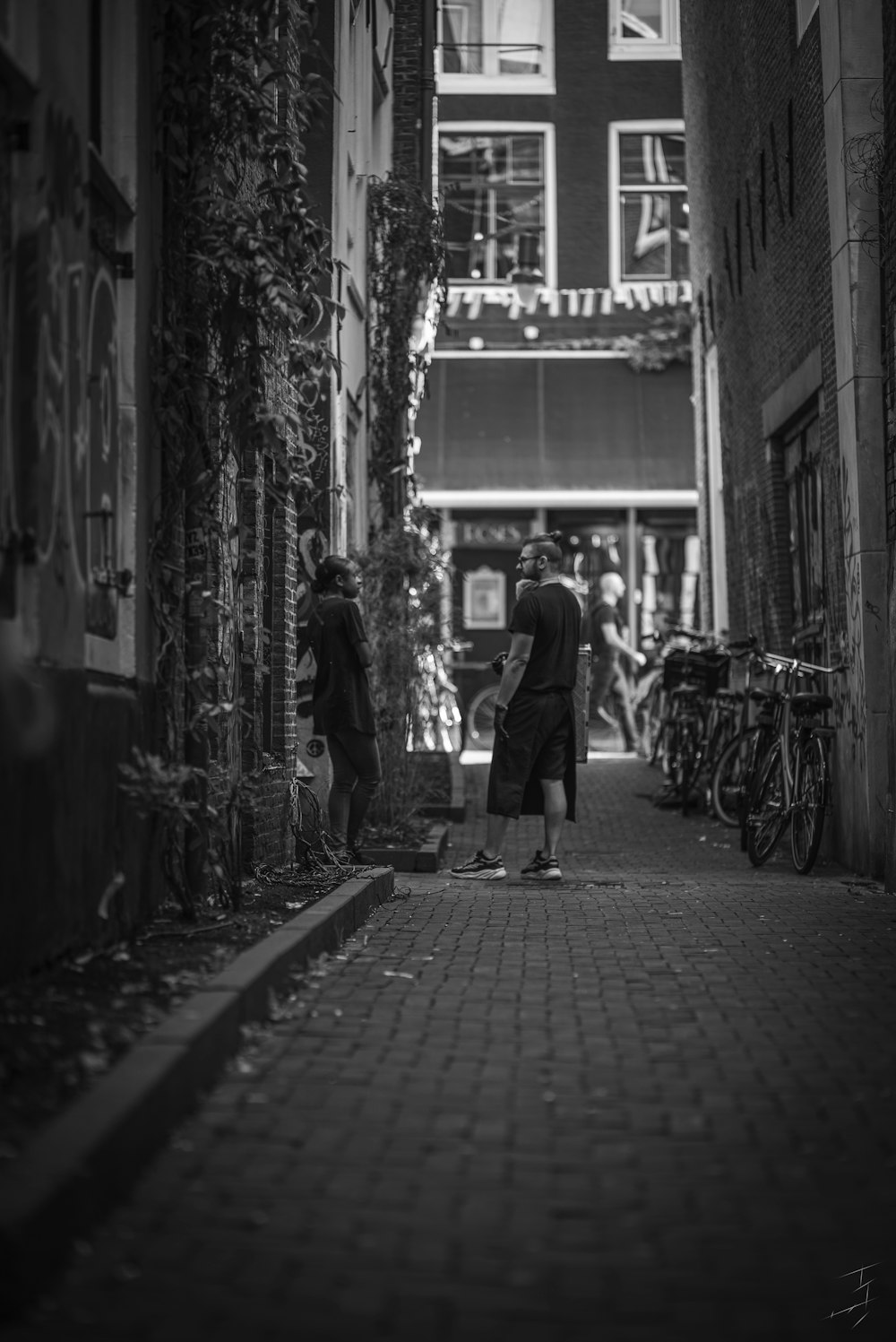 people standing on alley
