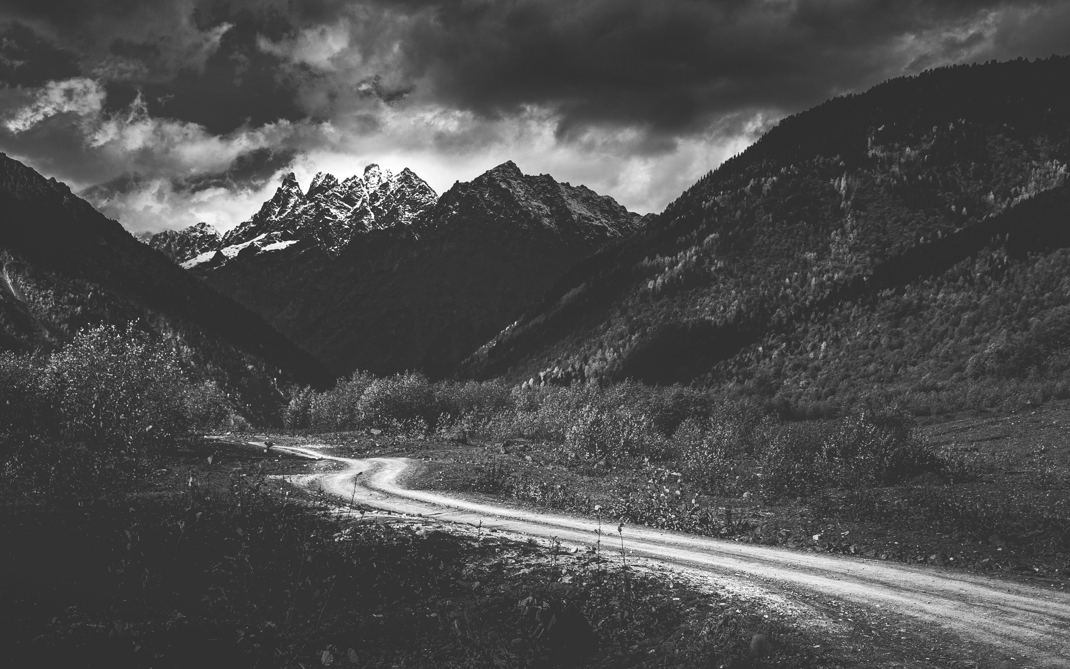 Photo by marekpiwnicki