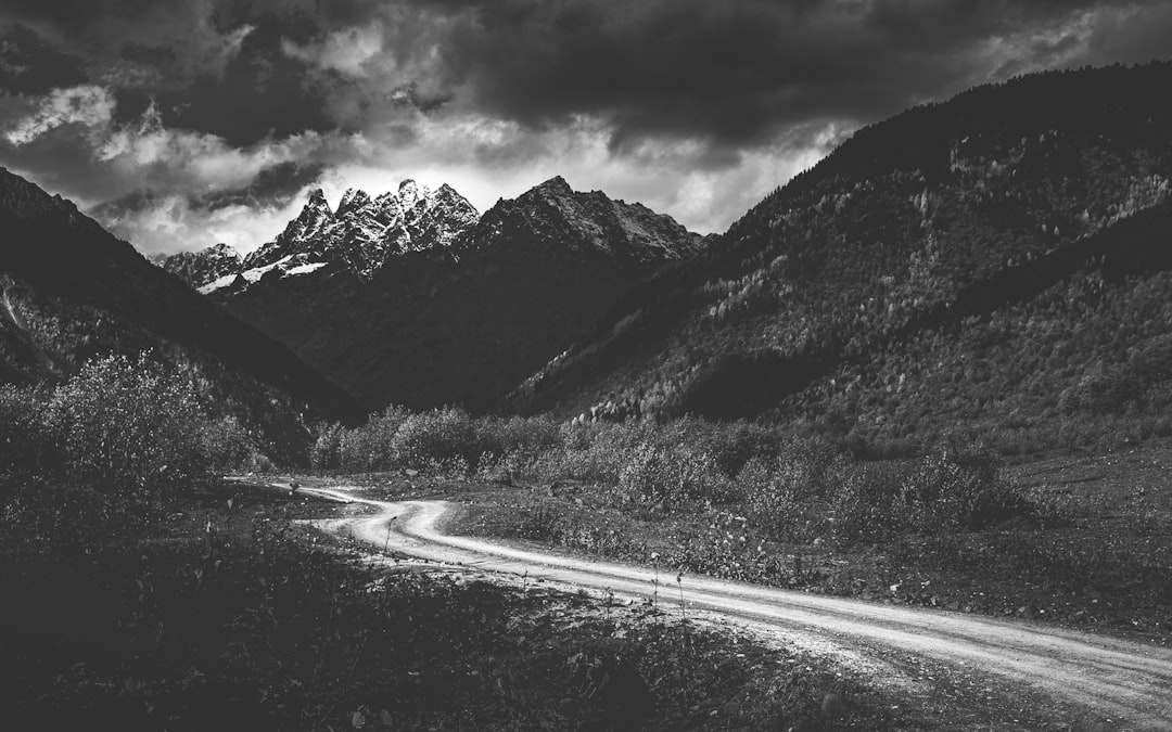 grayscale photography of road