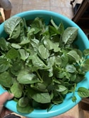 Close-up of vibrant green freeze-dried spinach powder in a clean white bowl.