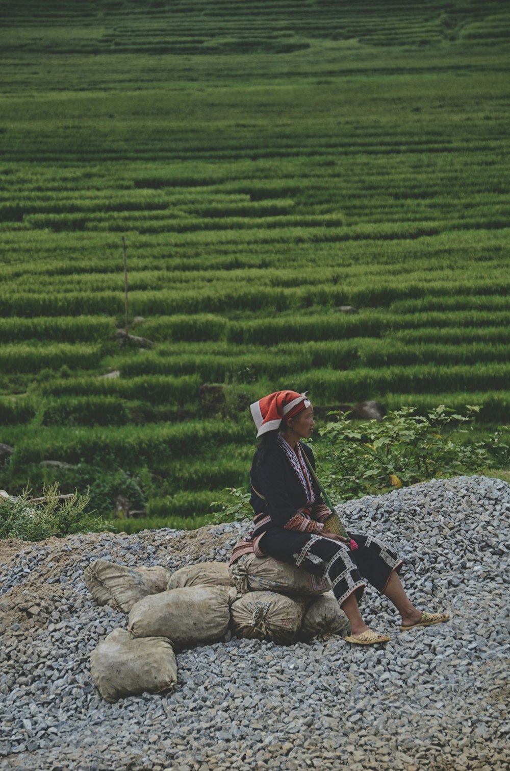 woman wearing black and white dress sitting on sacks near green field during daytime