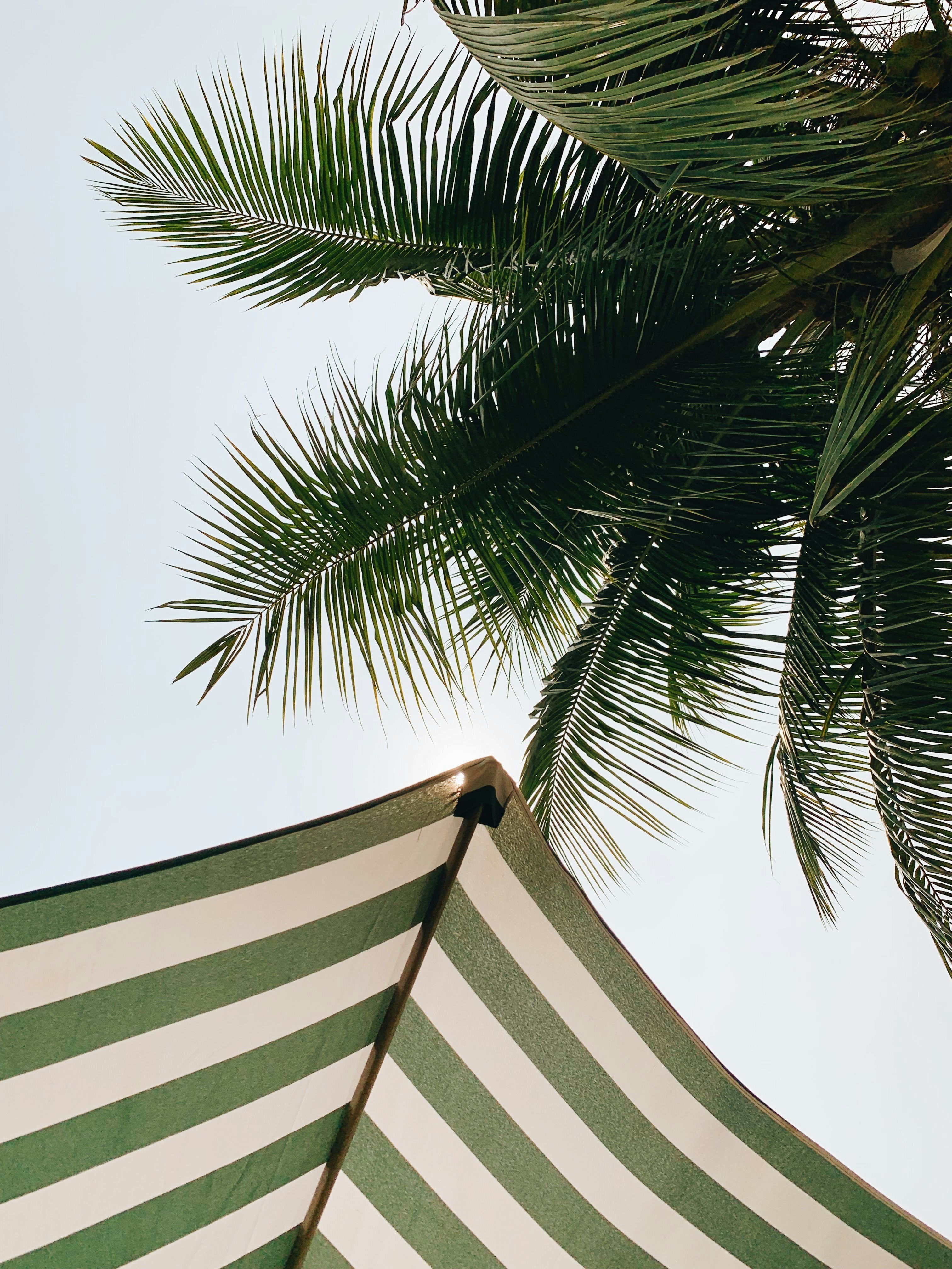 Photo by goddamnitsheikh11