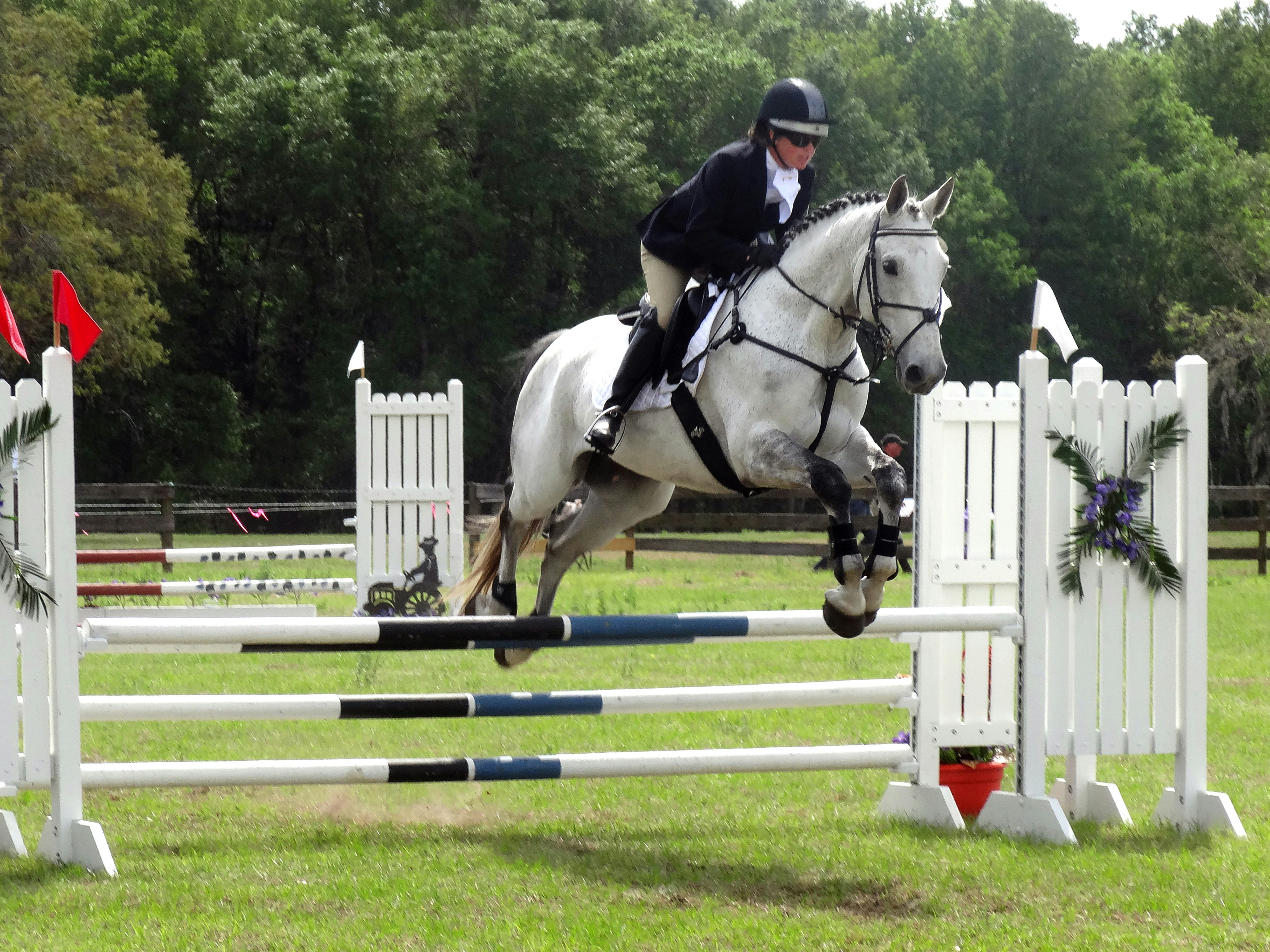 Bay horse and rider clearing a colorful show jumping fence