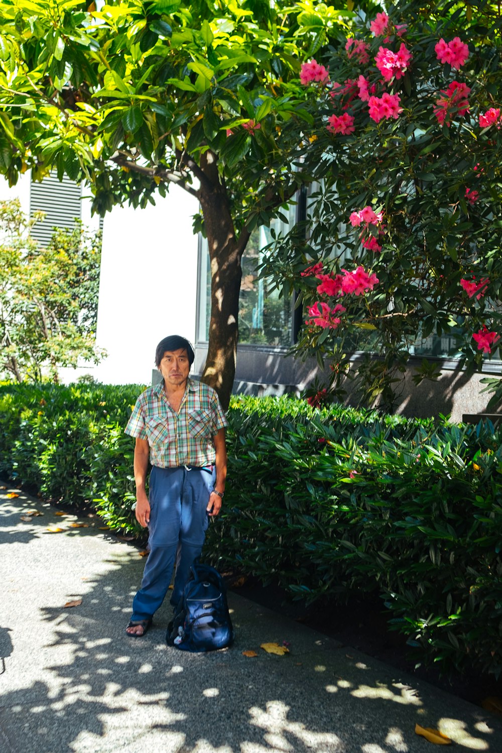 man standing under green-leafed tree