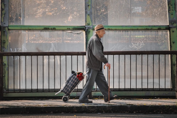 An elderly person walks across a bridge using a cane, pulling a shopping cart with a plaid pattern and flowers attached. The backdrop includes glass panels and graffiti, while the person wears a hat and a jacket.