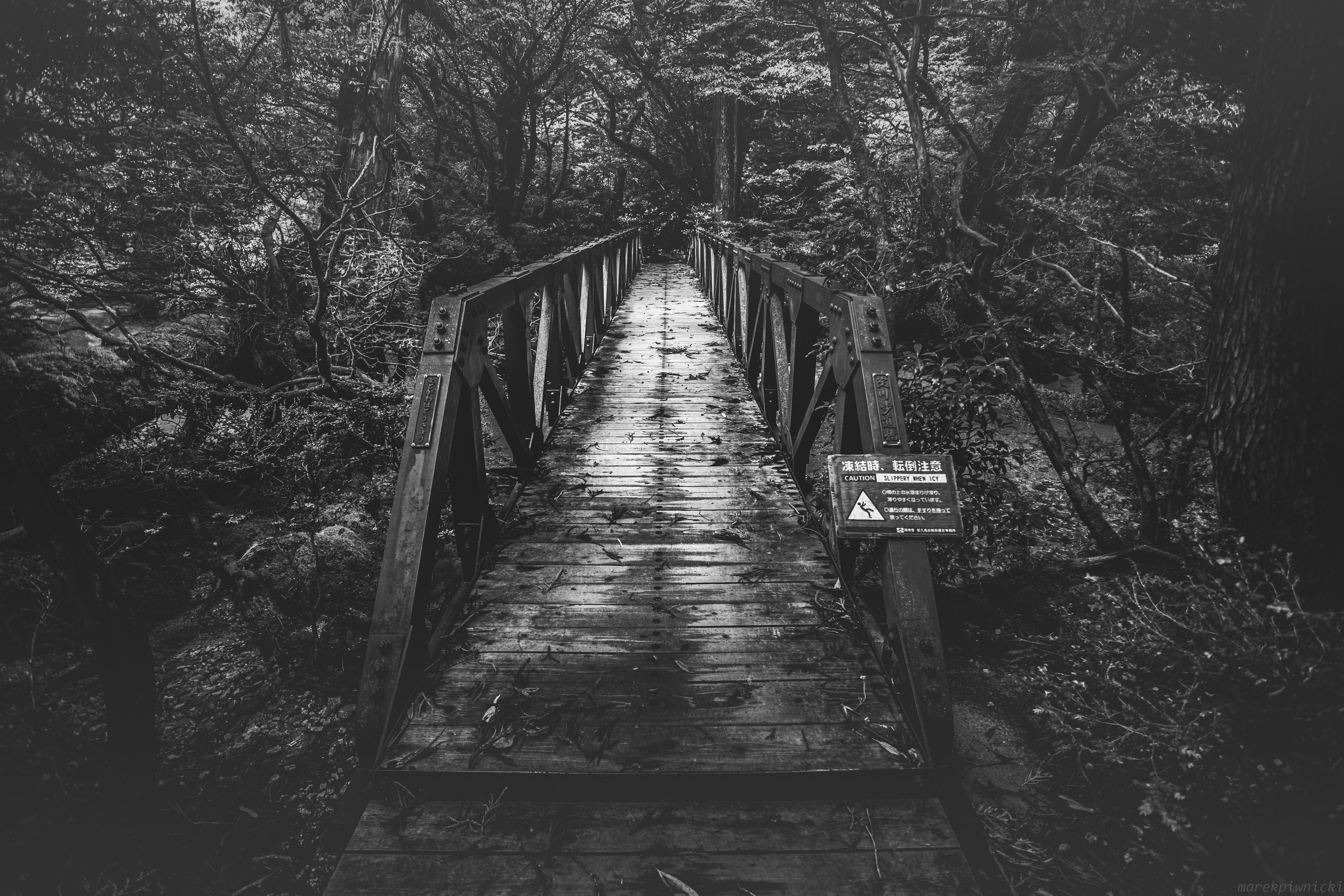 Photo by marekpiwnicki