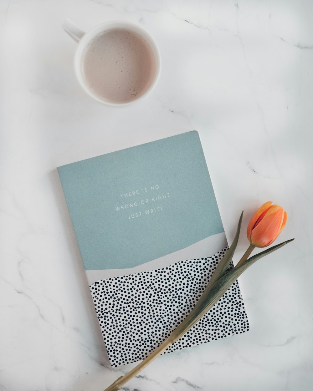 orange tulip and blue labeled book