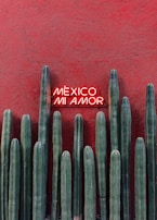 Tall green cacti are lined up against a textured red wall, with a bright neon sign reading 'México Mi Amor' above them.