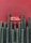 Tall green cacti are lined up against a textured red wall, with a bright neon sign reading 'México Mi Amor' above them.