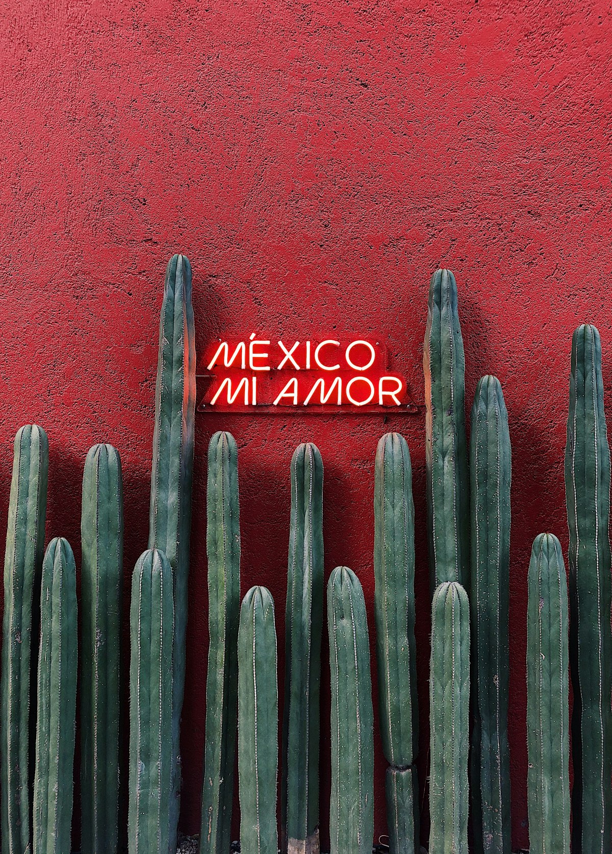 14 recommended self-protection measures while traveling in Mexico