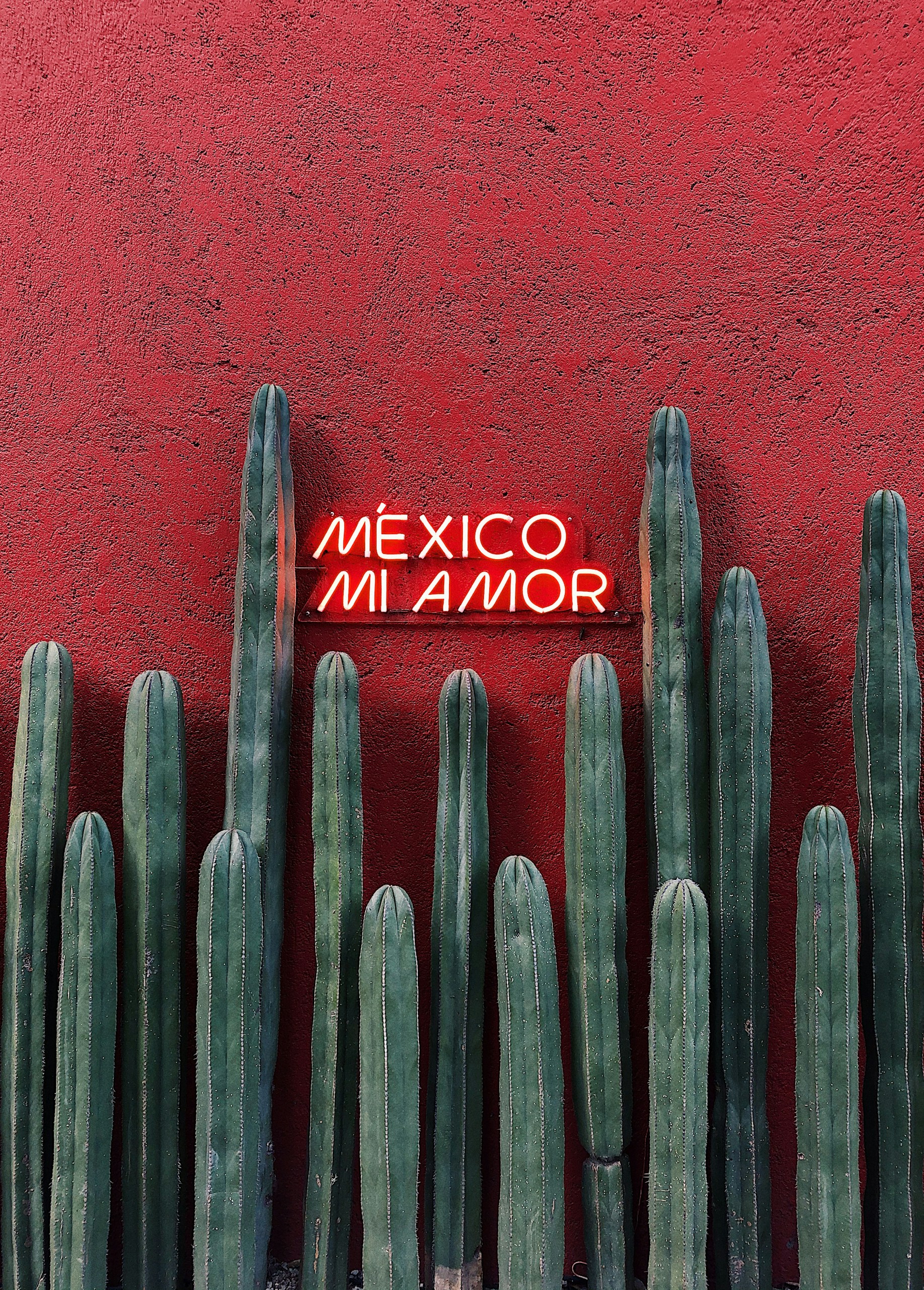 Things To Do in Mexico City