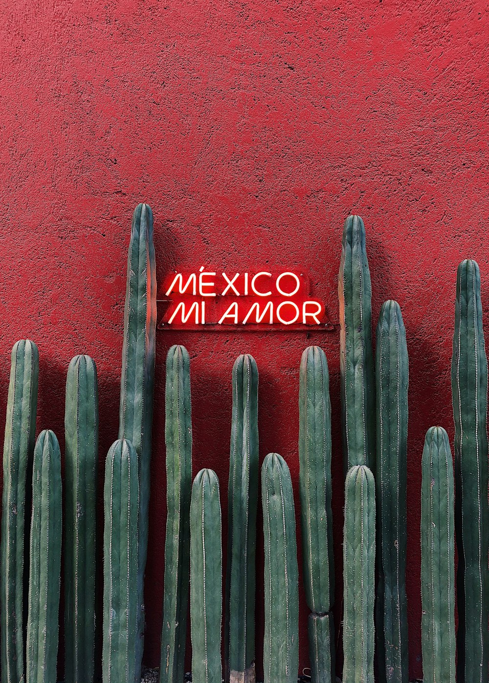 a red wall with a sign that says mexico innamor