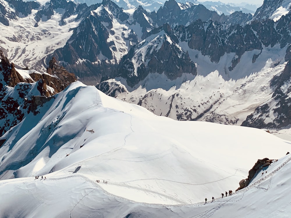 people trekking a snowy mountain