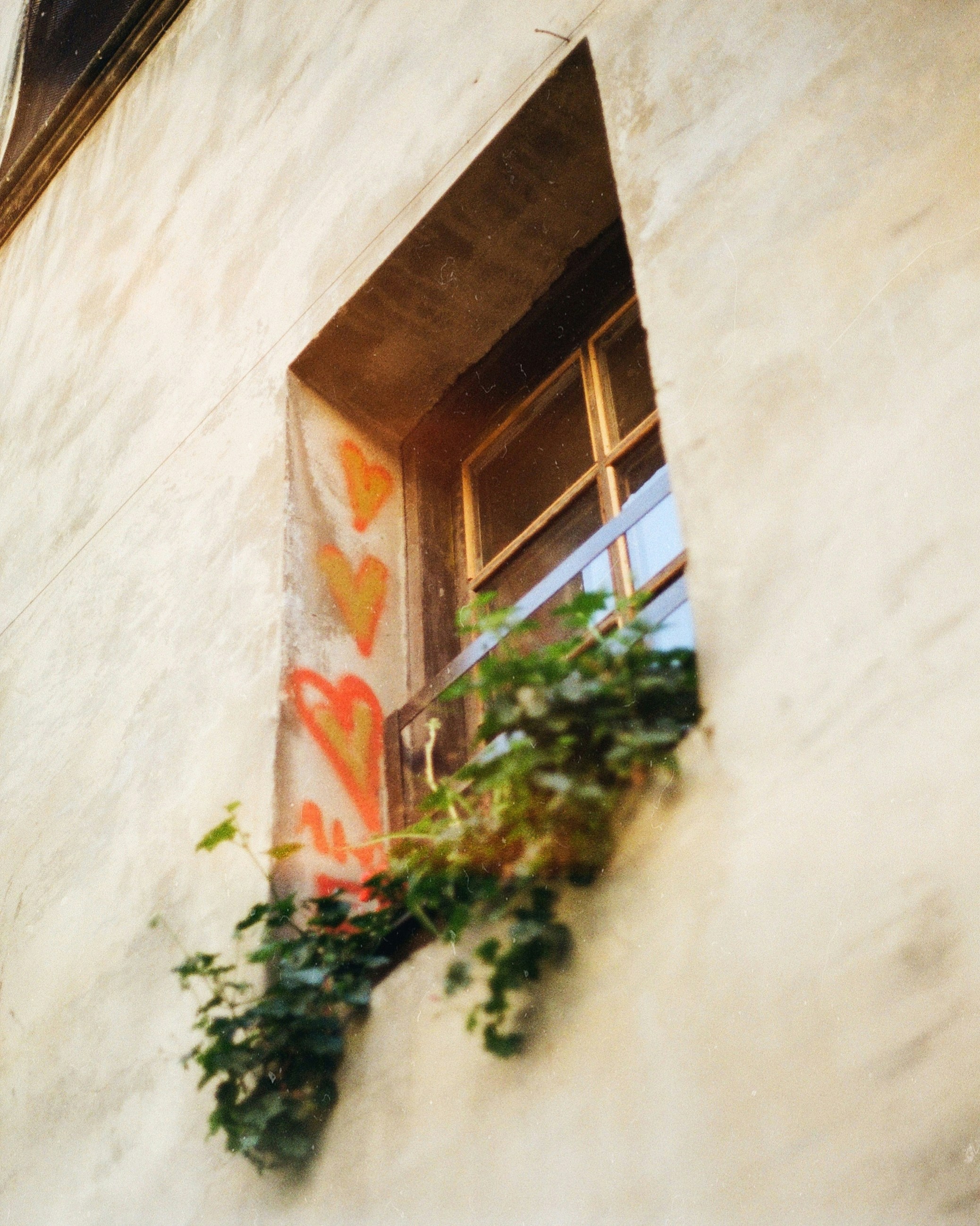 Photo by zelenagilochka