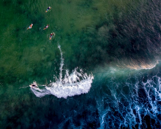 people swimming at sea during daytime in Gold Coast Australia