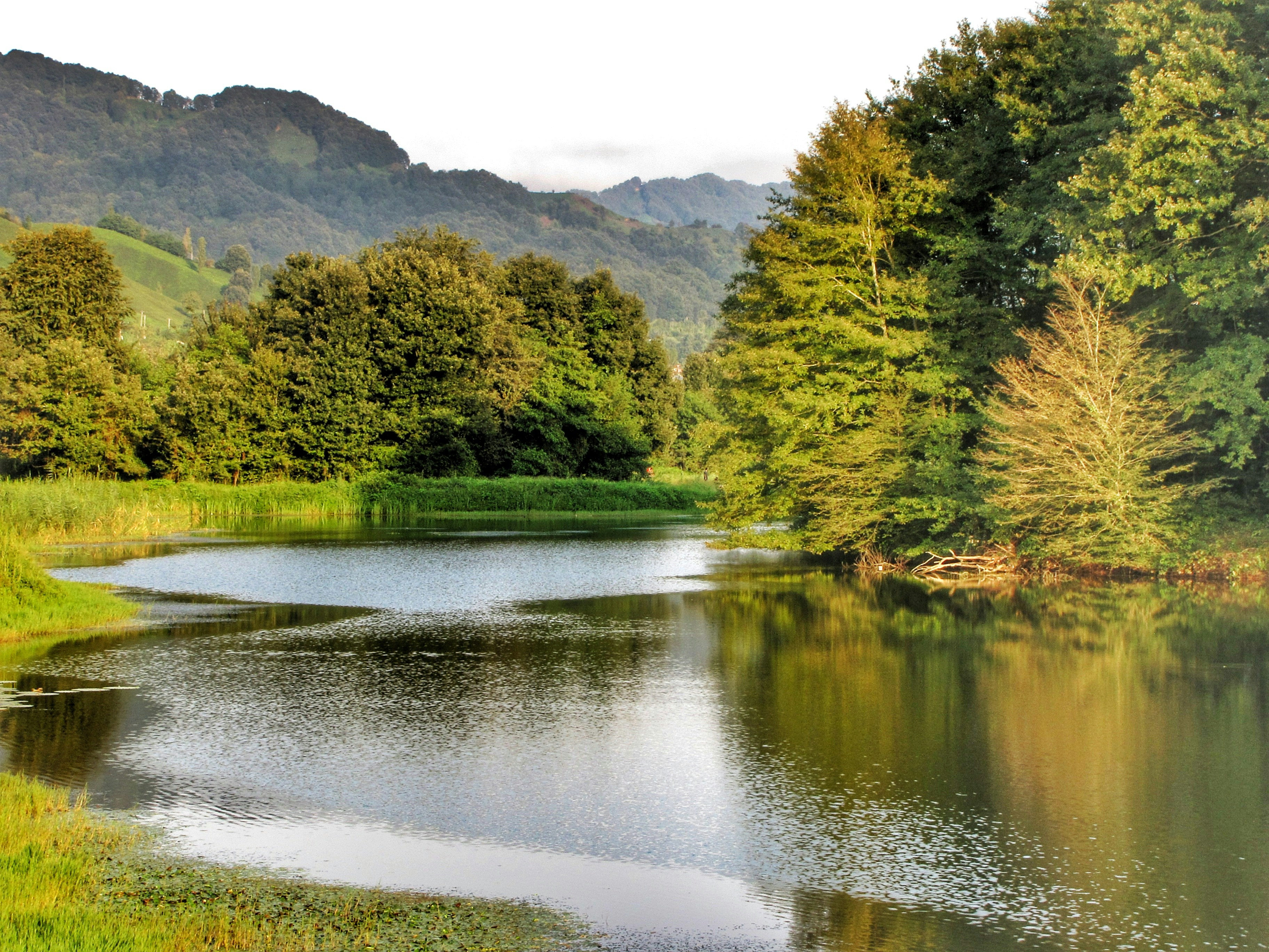 Photo by sasan_golbostani