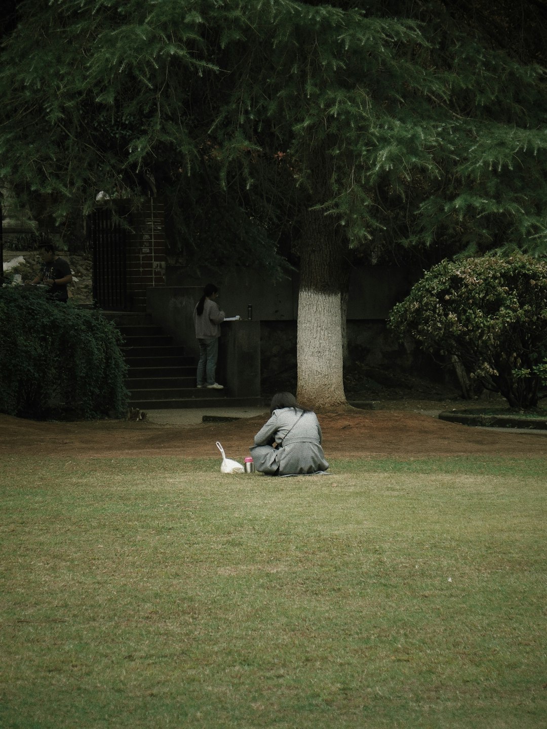 woman in park