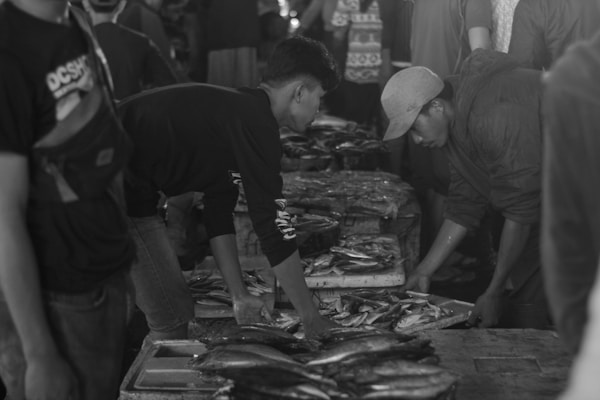 Two men are seen in a market setting, both bent over a table filled with various types of fish. The scene appears busy with other people in the background, indicating an active market environment.