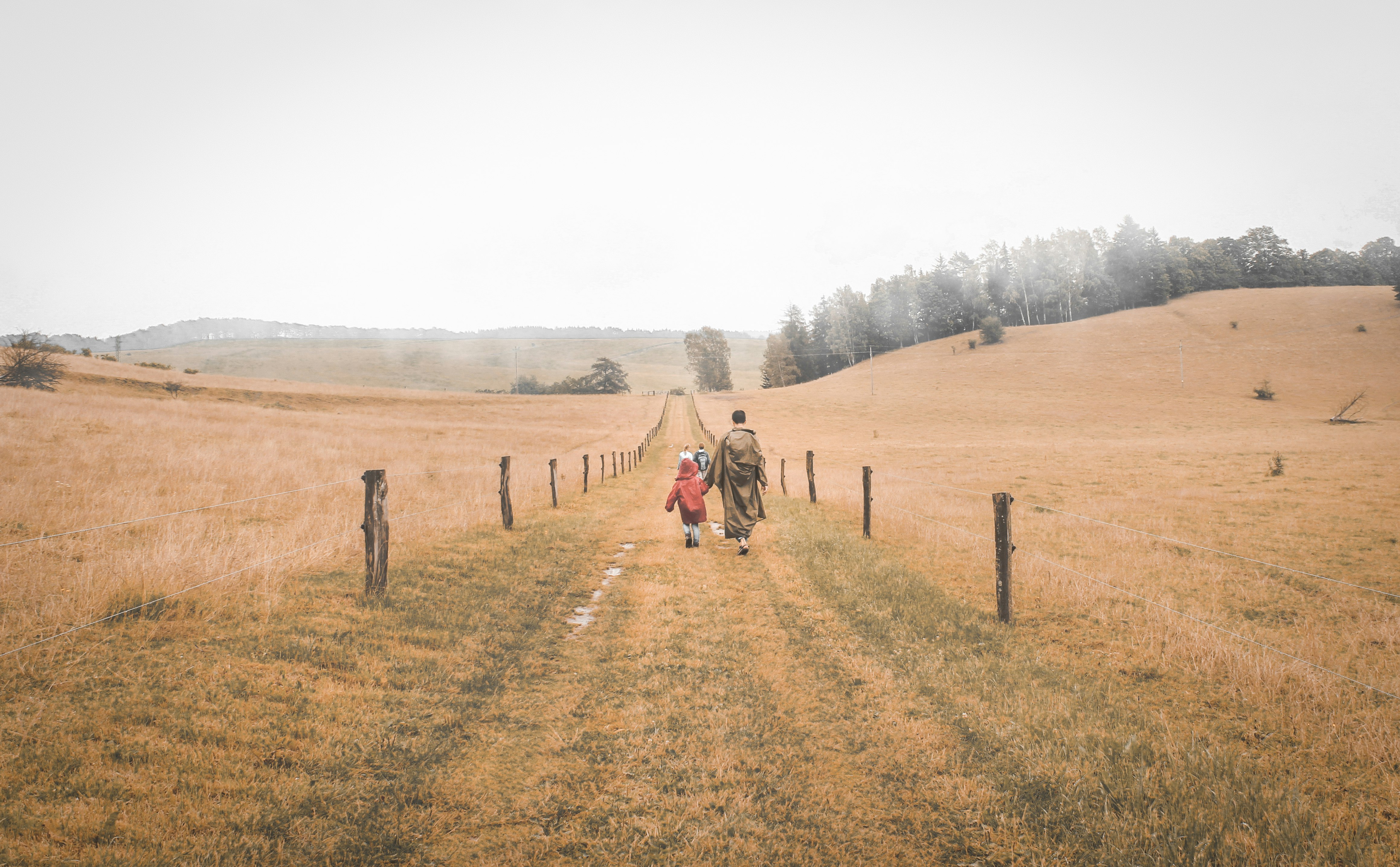 woman and child walking on grass field