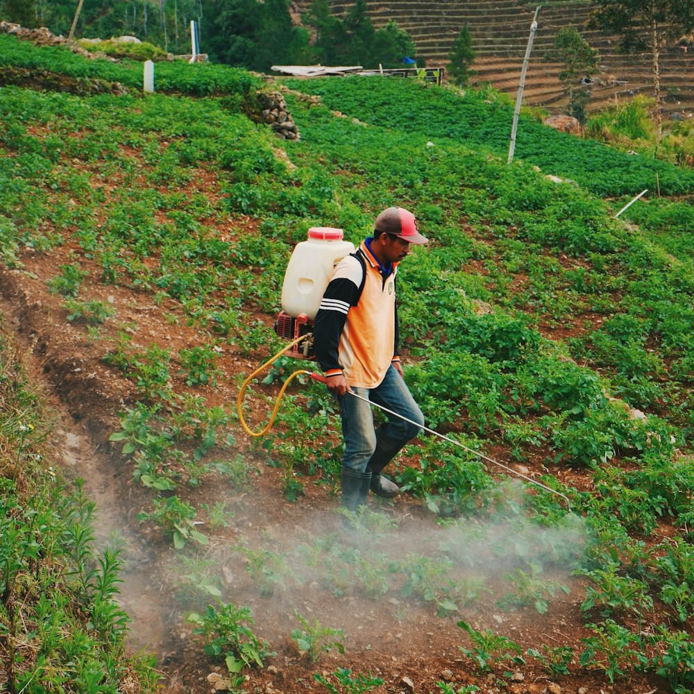 man wearing orange, black, and white jacket spraying on green plants