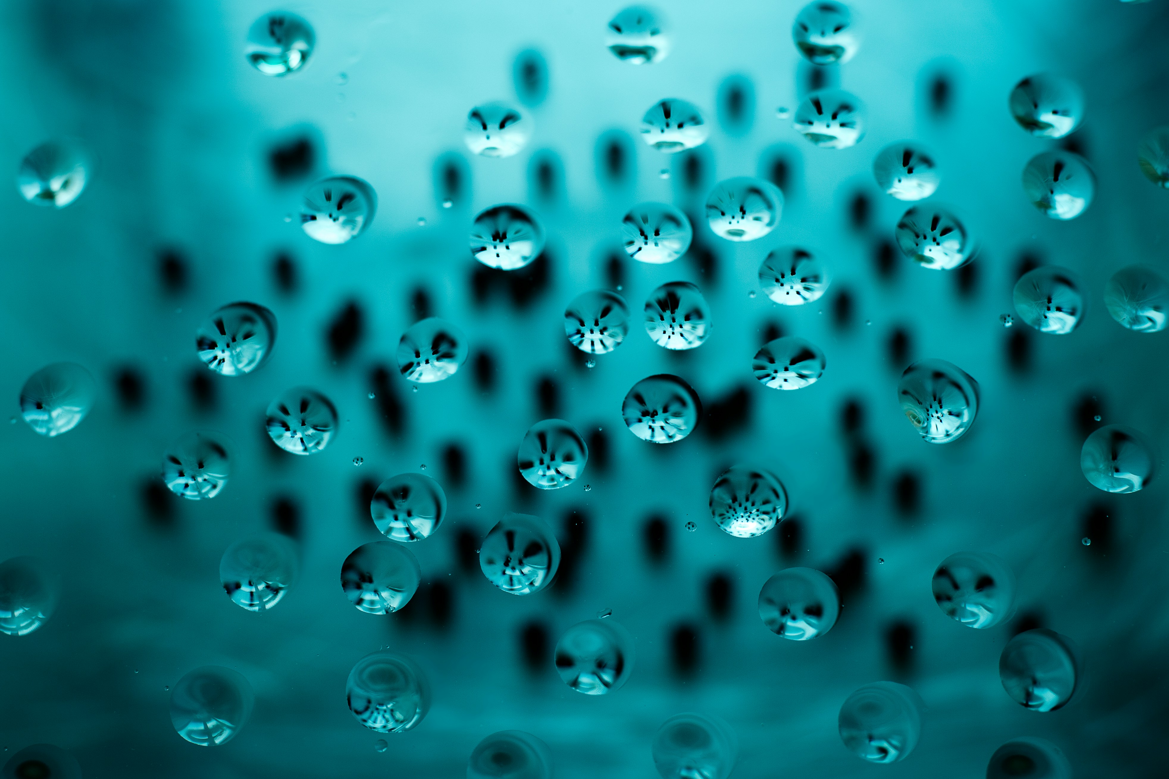 water drops