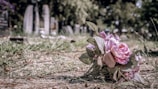 A bouquet of pink flowers lies on the grass in a cemetery setting, with several tombstones visible in the blurred background. The scene suggests a solemn, contemplative atmosphere.