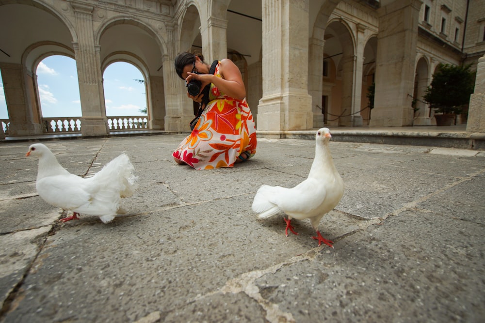 woman taking photo of two doves