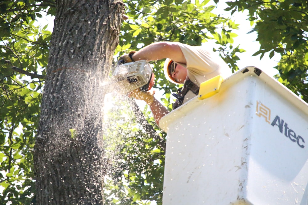 a man is cutting a tree with a chainsaw