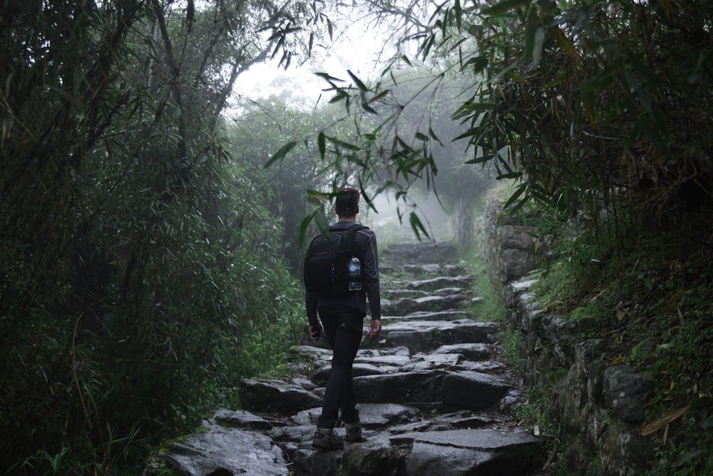 man walking on rocky road by plants during foggy weather