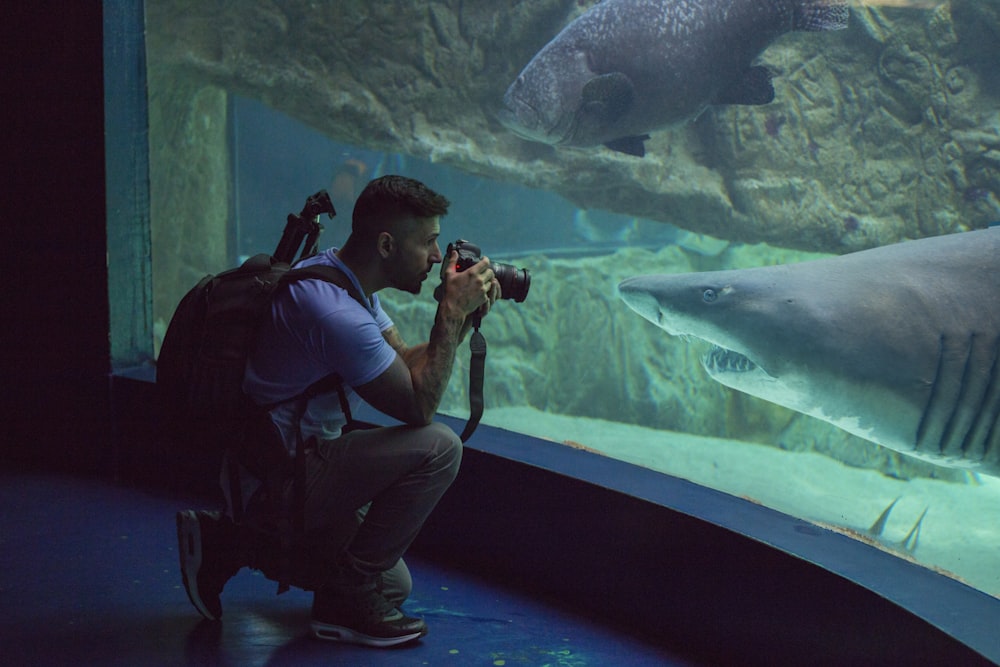 man taking photo of shark in tank