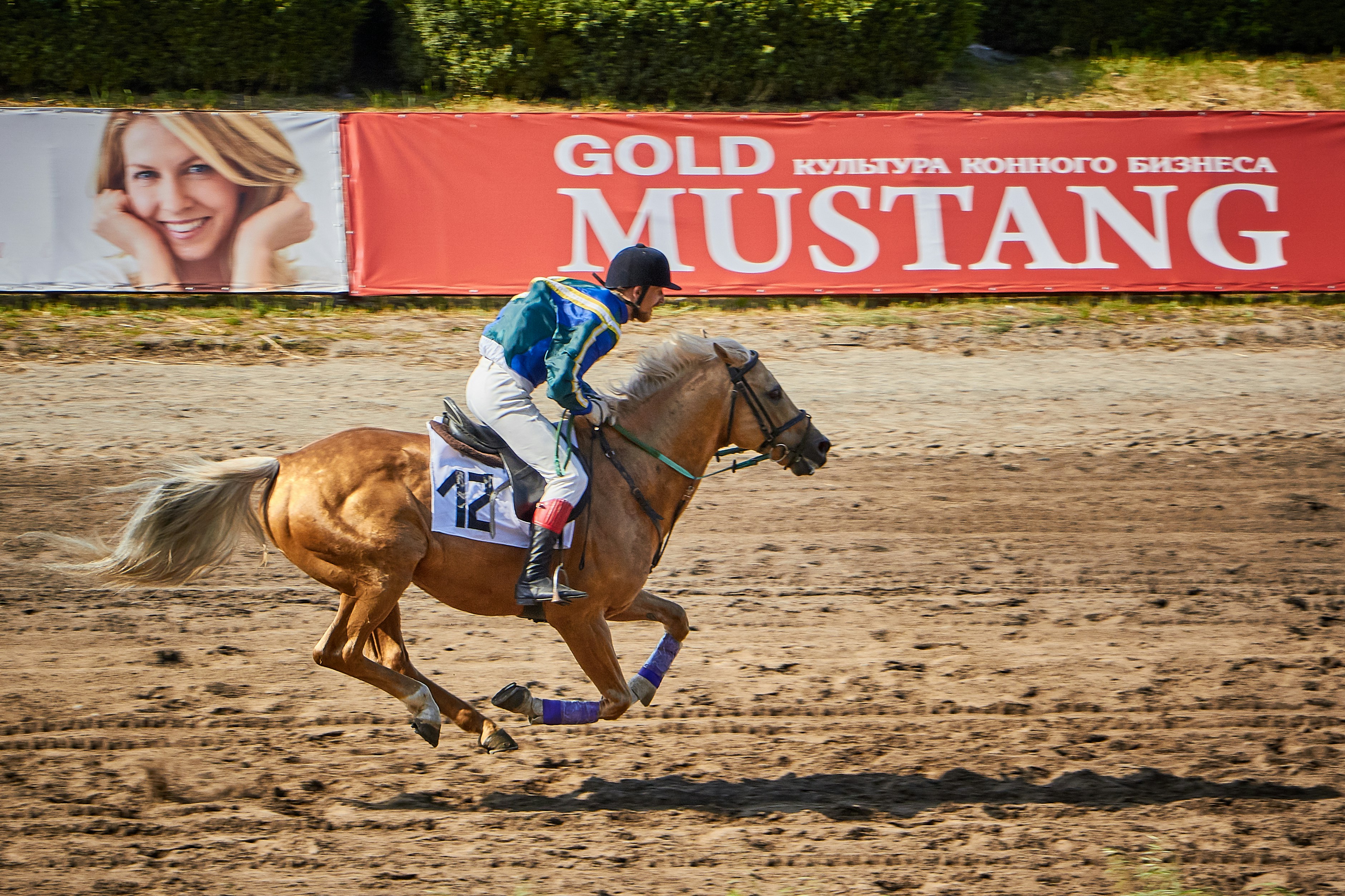 Premium 11/09/2022 Daily Update