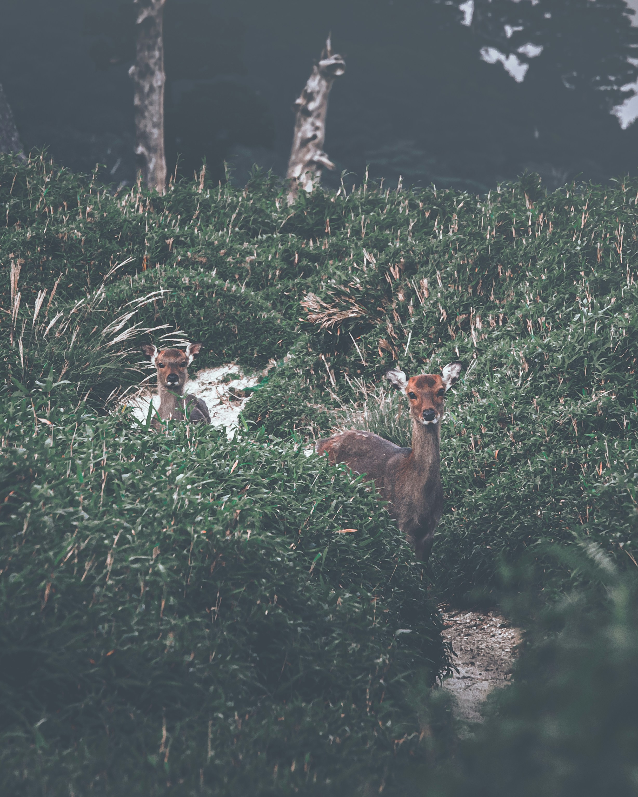 Photo by marekpiwnicki