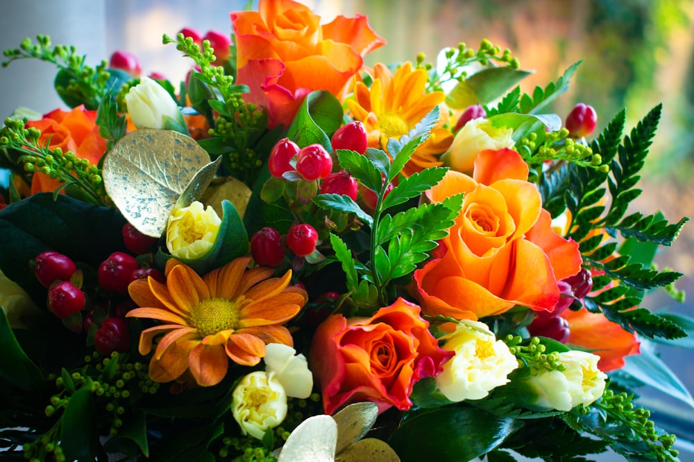 multicolored flowers in bloom