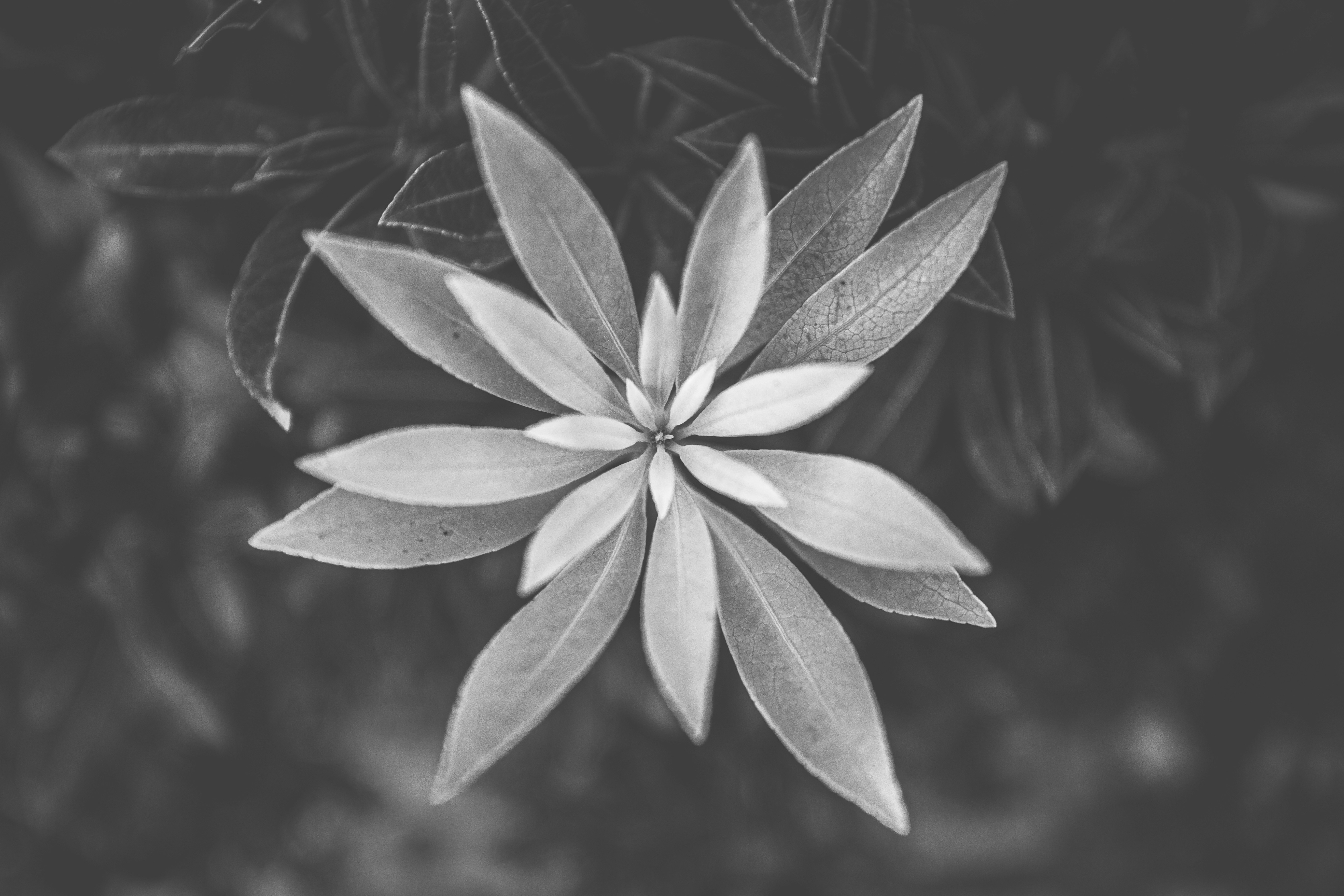 Photo by marekpiwnicki