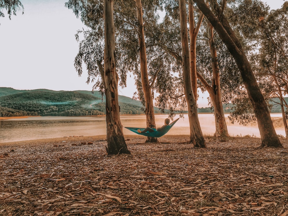 person lying on blue hammock
