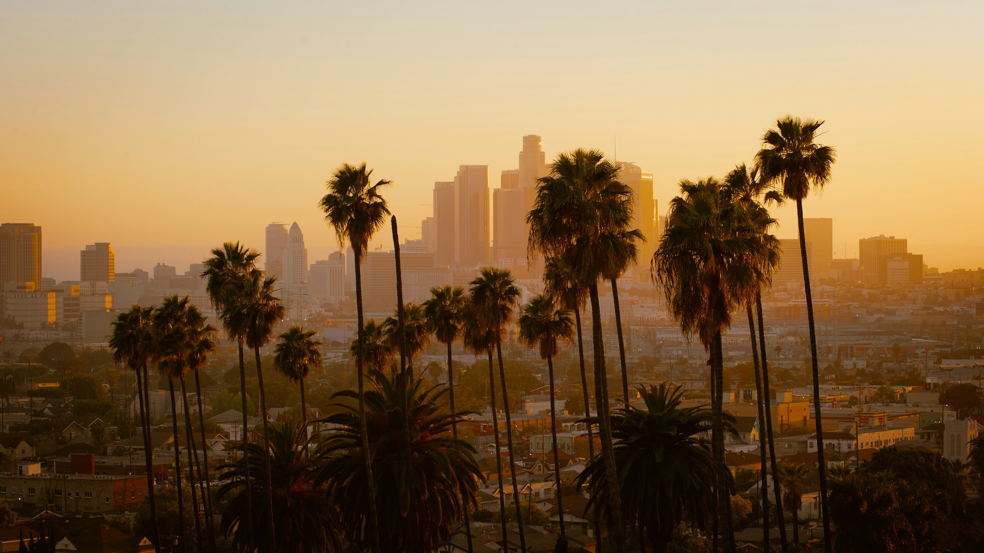 Los Angeles Local Cuisine: Dishes, Restaurants, Recipes