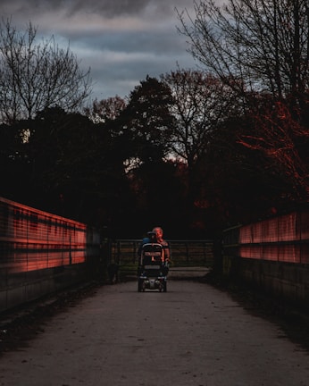 An elderly man navigating a wheelchair smoothly down a sunny park path.