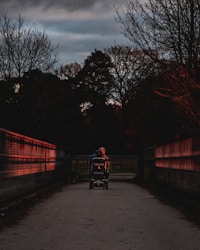 Living with Multiple Sclerosis: A Personal Journey