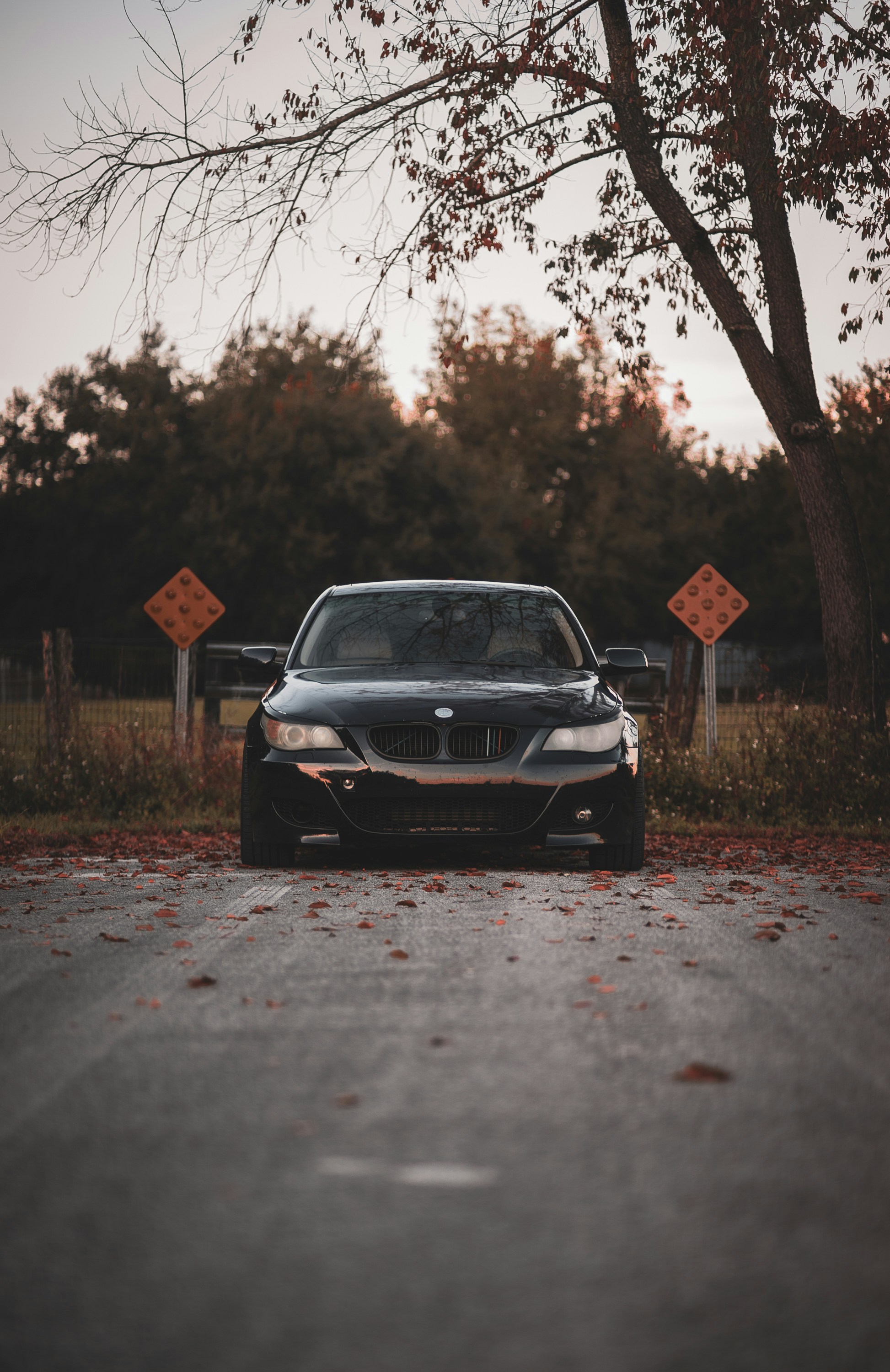 Photo by 535_productions