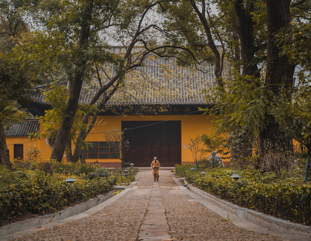 person walking on pathway between trees during daytime